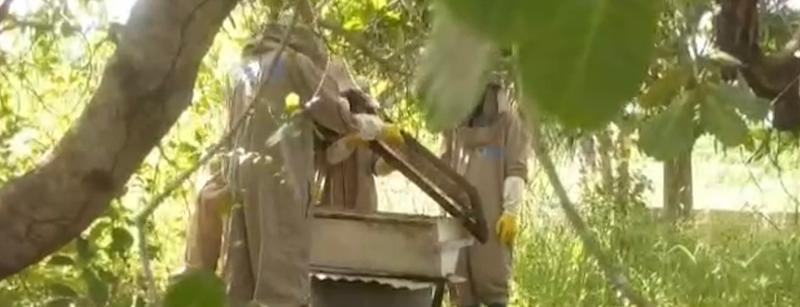 When Hope Makes the Headlines – Our Orphans on TV
