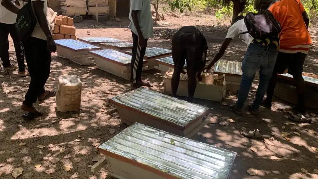 Bienenstöcke für das Imkerprojekt in Gambia